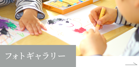 フォトギャラリー