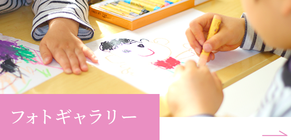 フォトギャラリー