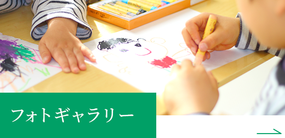 フォトギャラリー